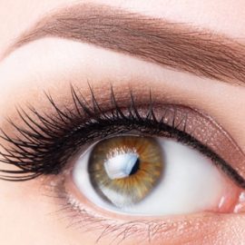 Eye with long eyelashes and light brown eyebrow close-up. Eyelashes lamination, microblading, tattoo, permanent, cosmetology, ophthalmology concept.